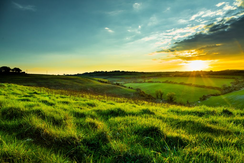 Dialogue on trade-offs in meeting Ireland’s climate change commitments ...