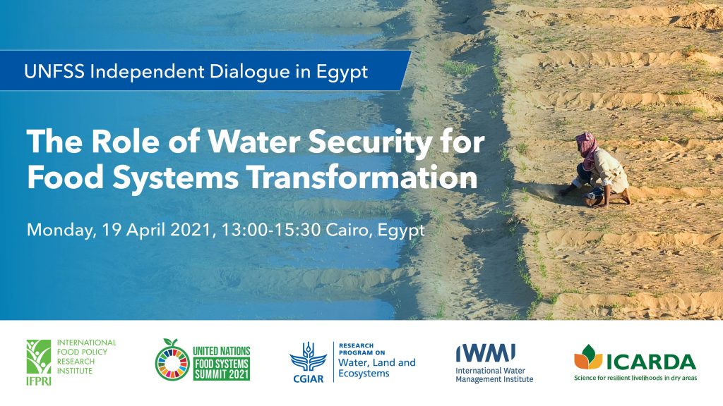 The Role of Water Security for Food Systems Transformation - Food ...