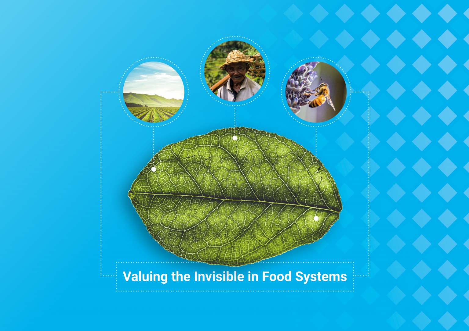 True Cost Accounting for Food Systems Redefining value to transform