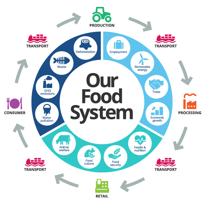 Produce and Provide safe, healthy and affordable food for everyone in ...