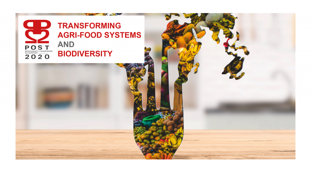 Transforming Agri-food Systems For Biodiversity And Sustainable ...