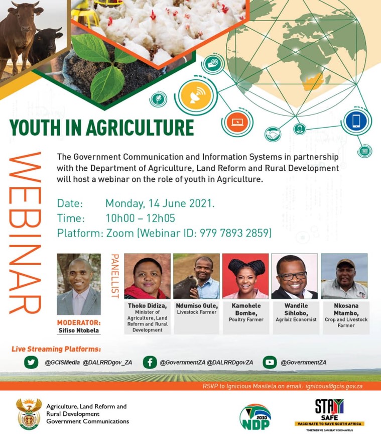 The Role of Youth in Participating in and Transforming South Africa’s ...
