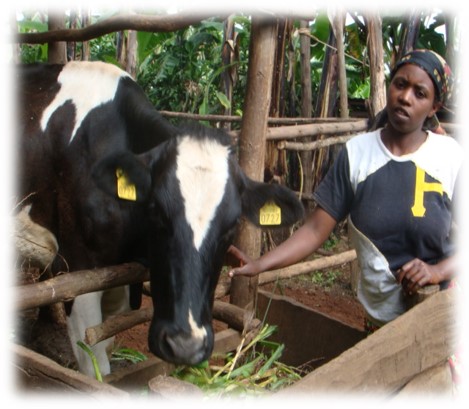 The role of Women in achieving sustainable Food systems in Rwanda ...