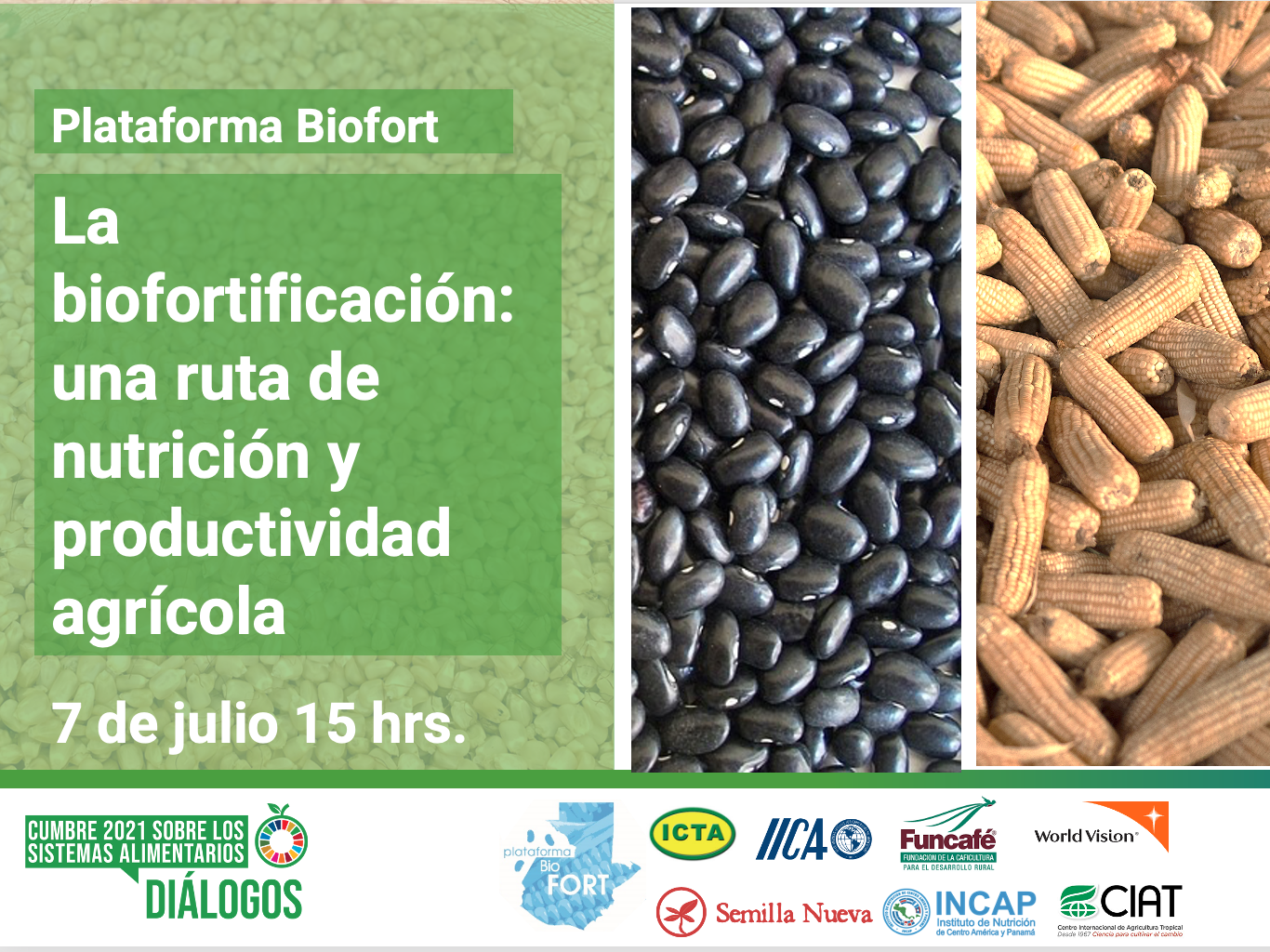 La biofortificación: una ruta de nutrición y productividad agrícola ...