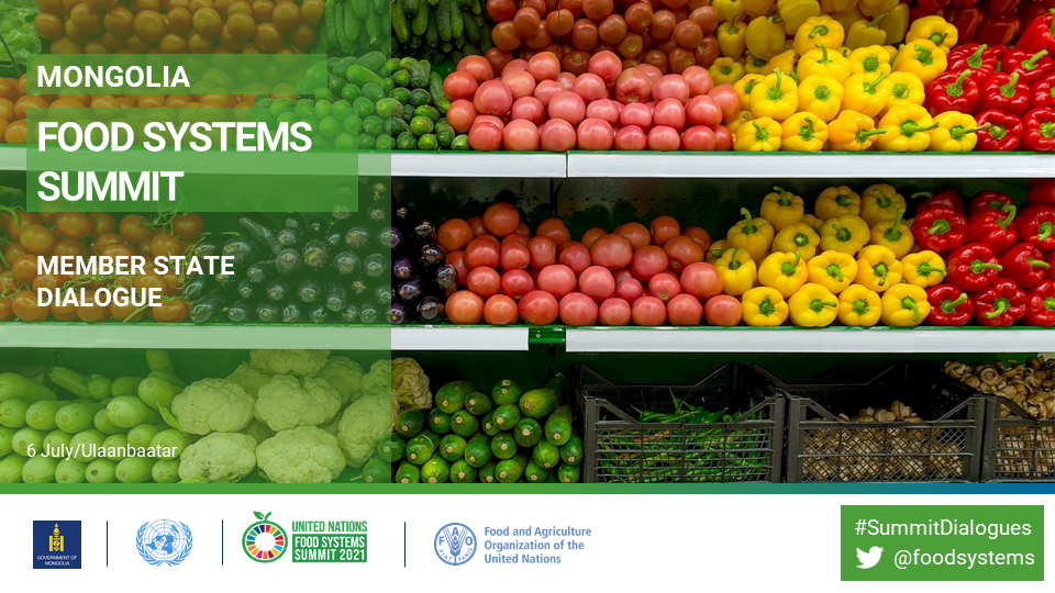Member state dialogue - Food Systems Summit Dialogues