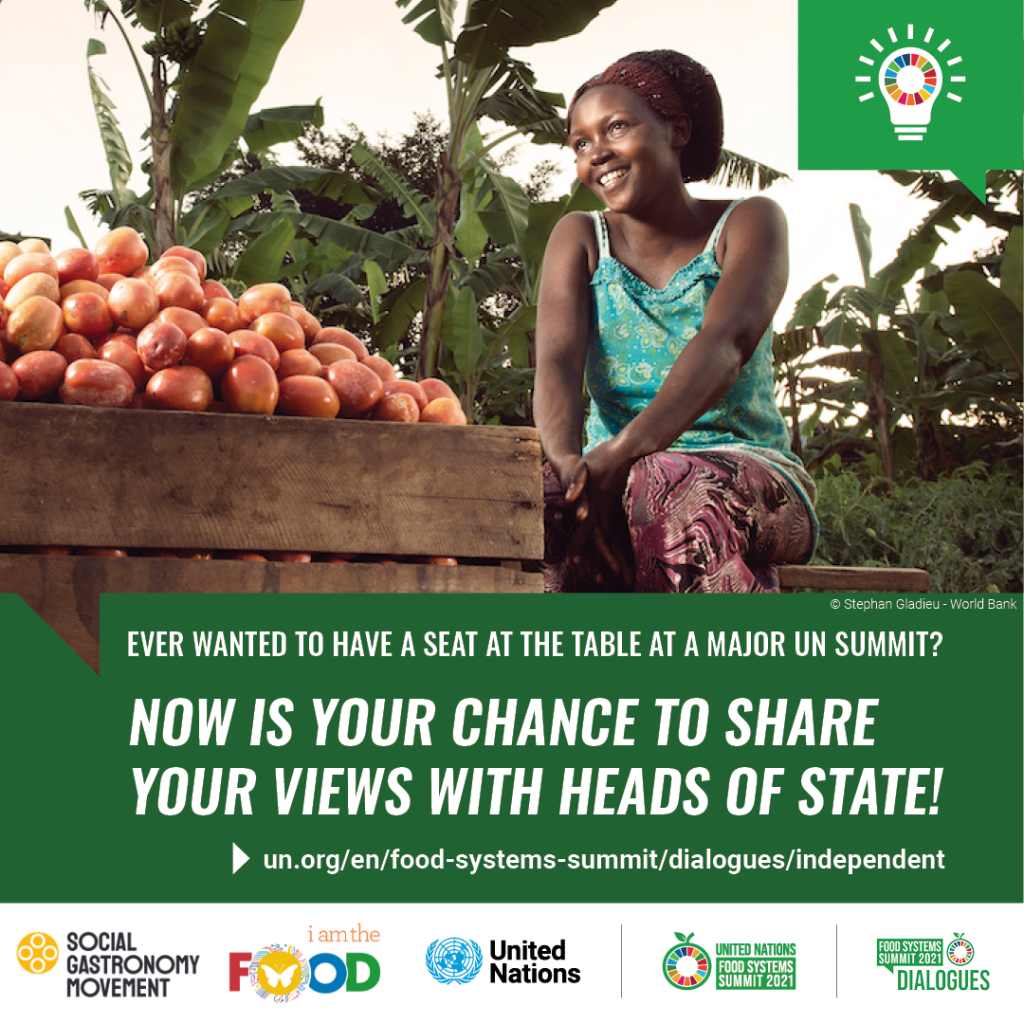 Africa Will Feed the World - Food Systems Summit Dialogues