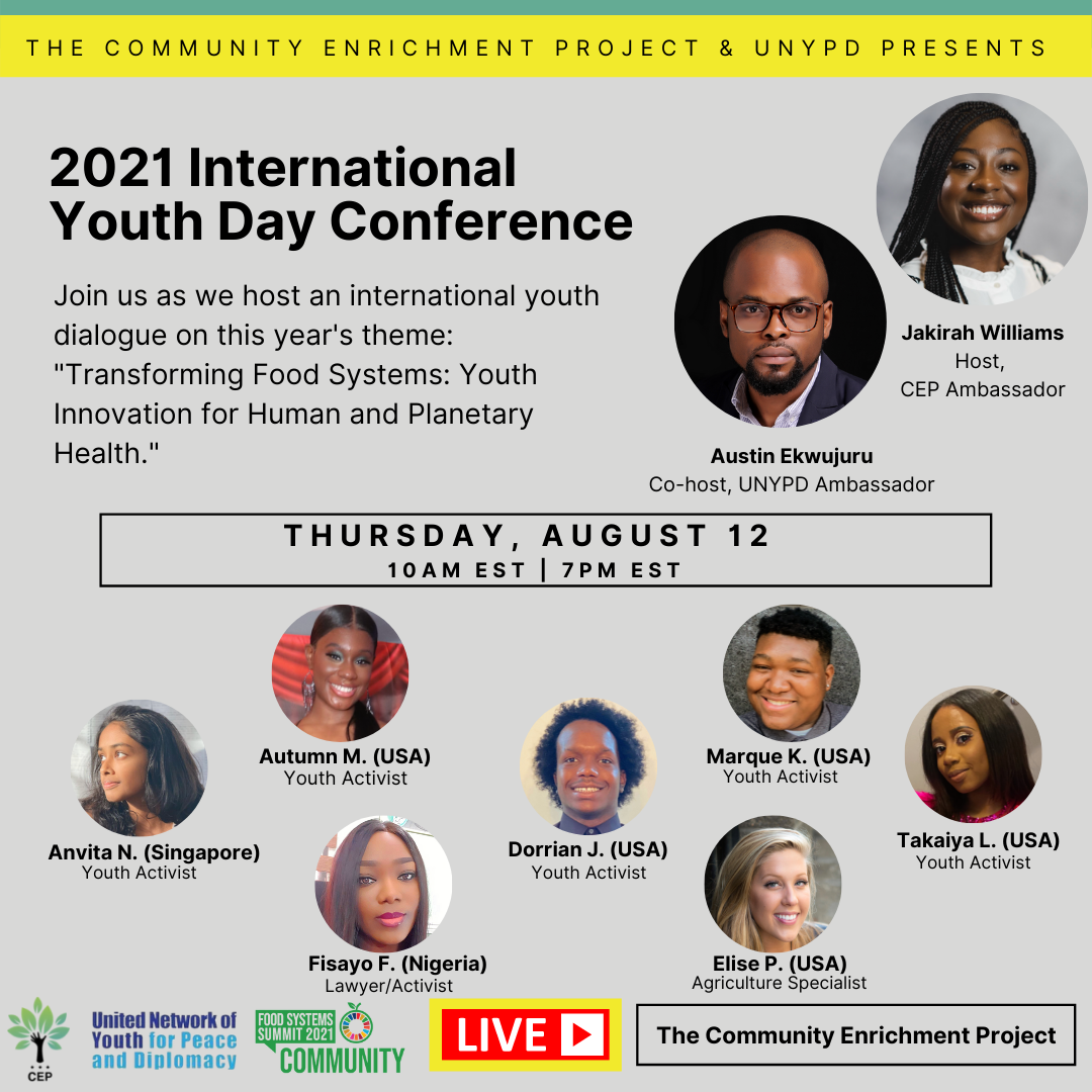 Global Youth Dialogue on Transforming Food Systems through Innovation ...