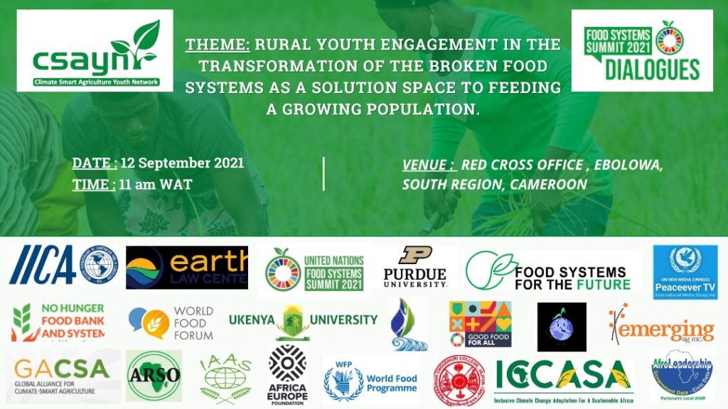 RURAL YOUTH ENGAGEMENT IN THE TRANSFORMATION OF THE BROKEN FOOD SYSTEM ...